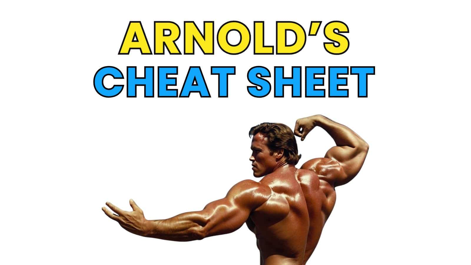 Arnold Cheat Sheet Cover Wide